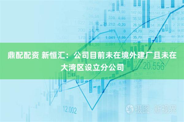 鼎配配资 新恒汇：公司目前未在境外建厂且未在大湾区设立分公司
