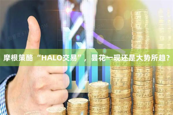 摩根策酪 “HALO交易”，昙花一现还是大势所趋？